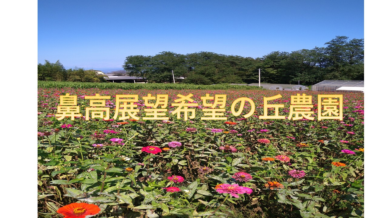 鼻高展望花の丘